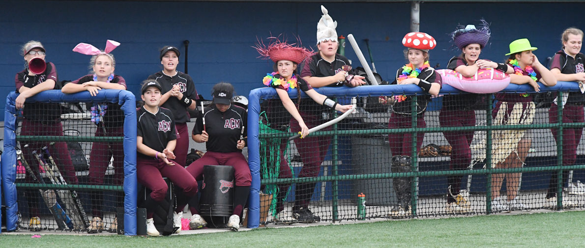 AMC vs Georgetown Softball 8.jpg